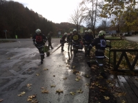 2019-11-16-BLP Neuhaus_6