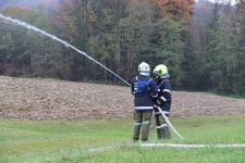 2019-11-16-BLP Rdf-Ort_6