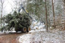 2020-03-25-Harvesterbrand Rdf_5