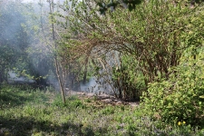 2020-04-17-Heckenbrand Rdf_1