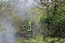 2020-04-17-Heckenbrand Rdf_3