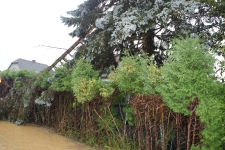 2020-08-04 Unwetter_2