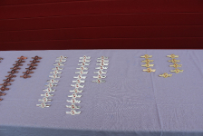 2022-04-23 Wissenstest_7