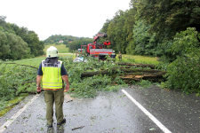 2023-08-06 Baum auf Straße B57 JE_2